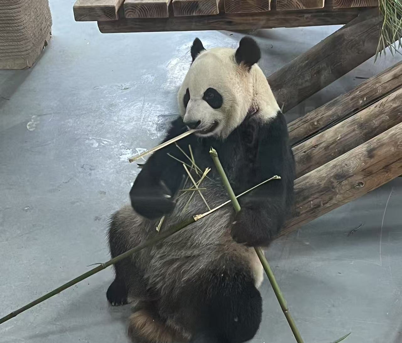 港澳门宝典资料